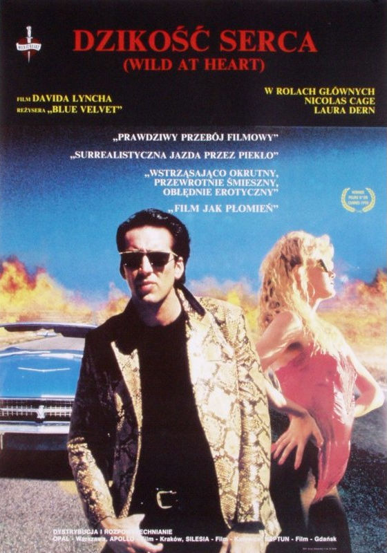 Polski plakat filmu 'Dzikość Serca'