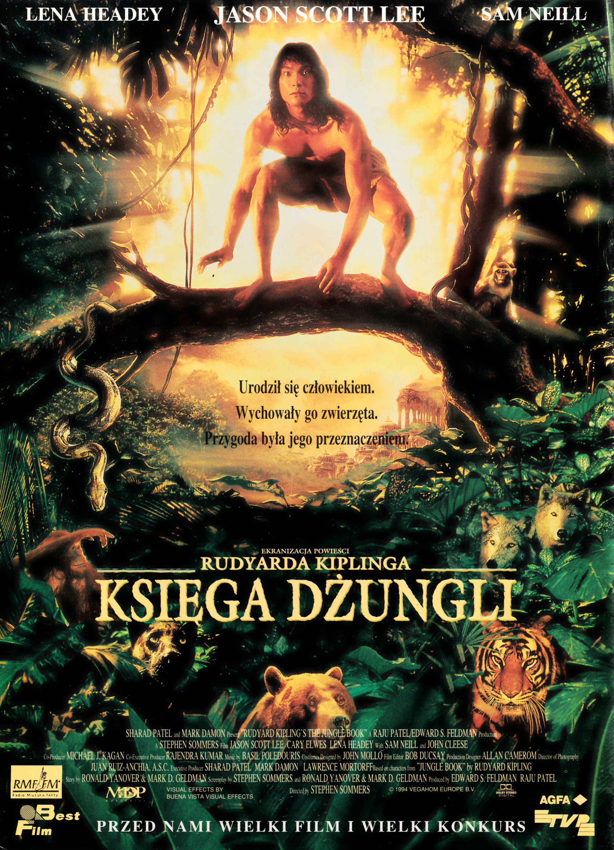 Polski plakat filmu 'Księga Dżungli'