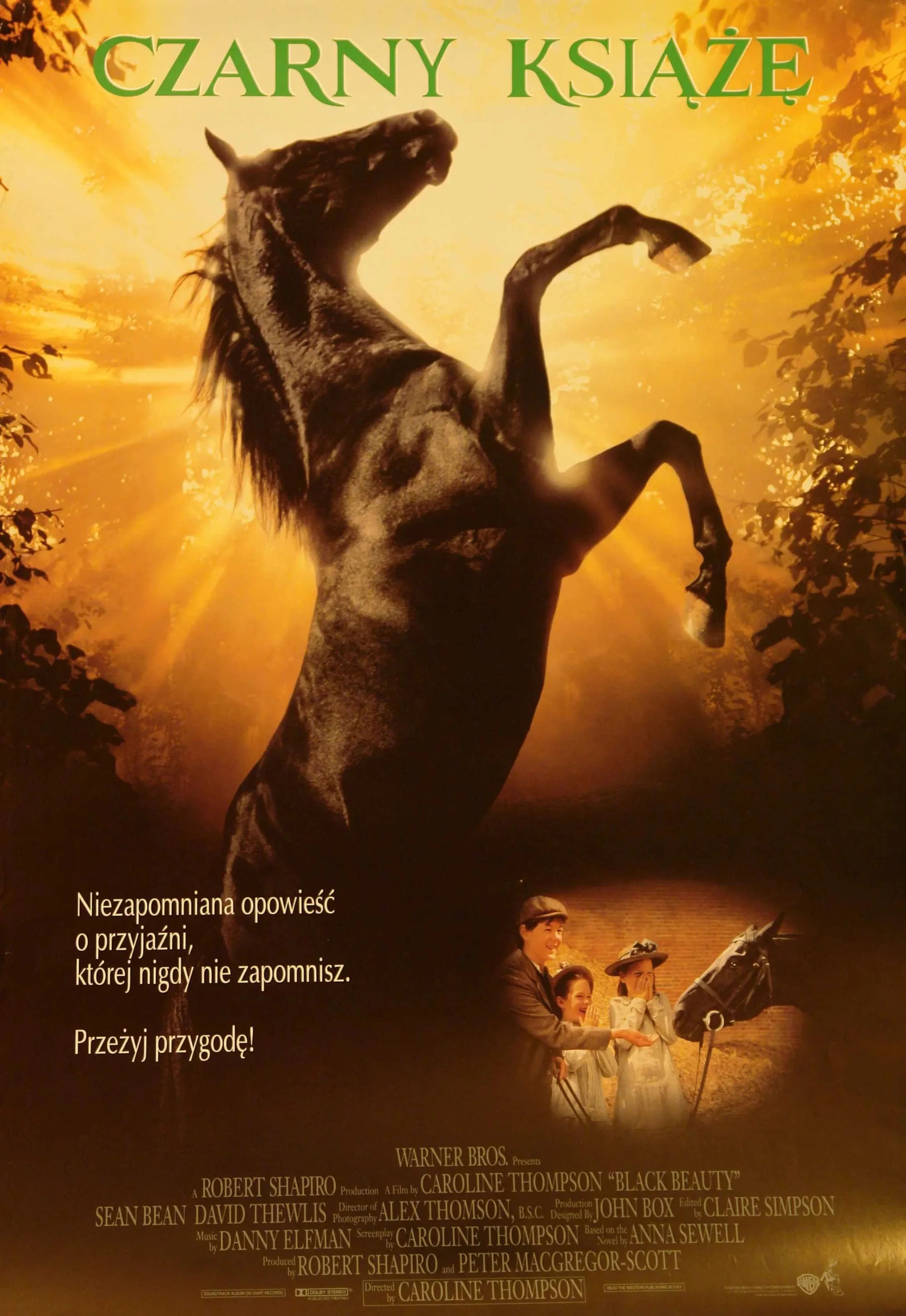 Polski plakat filmu 'Czarny Książę'