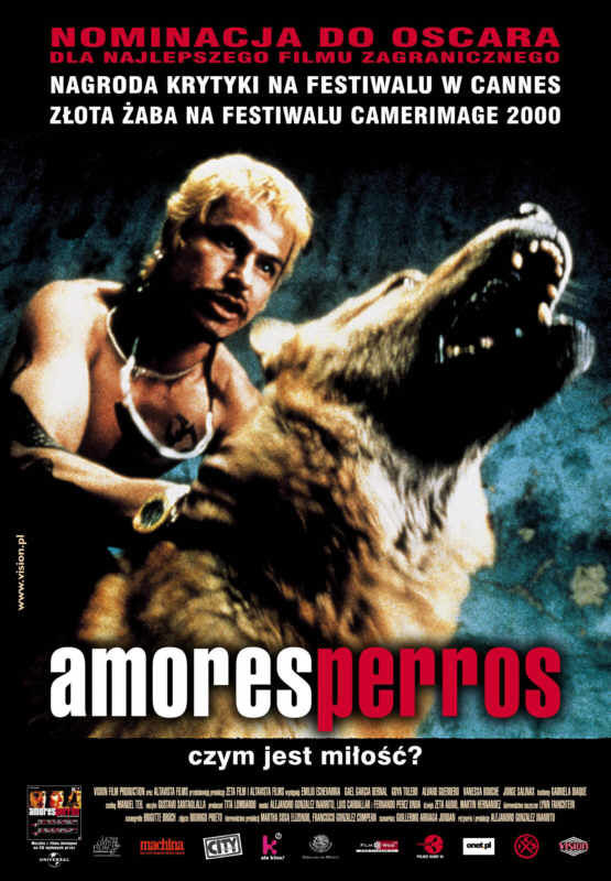 Polski plakat filmu 'Amores Perros'