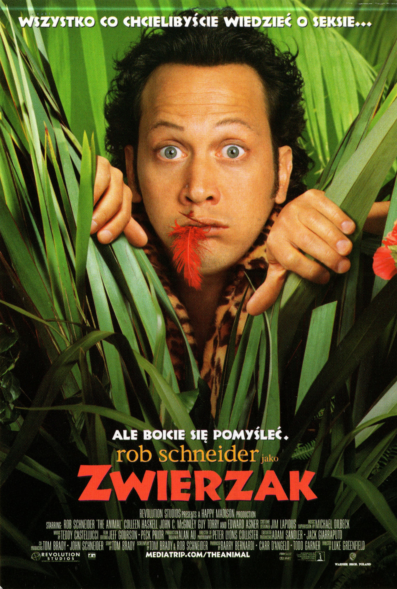 Ulotka filmu ''