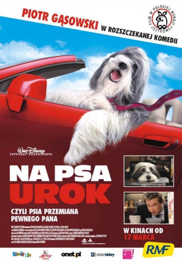 Polski plakat filmu 'Na Psa Urok'