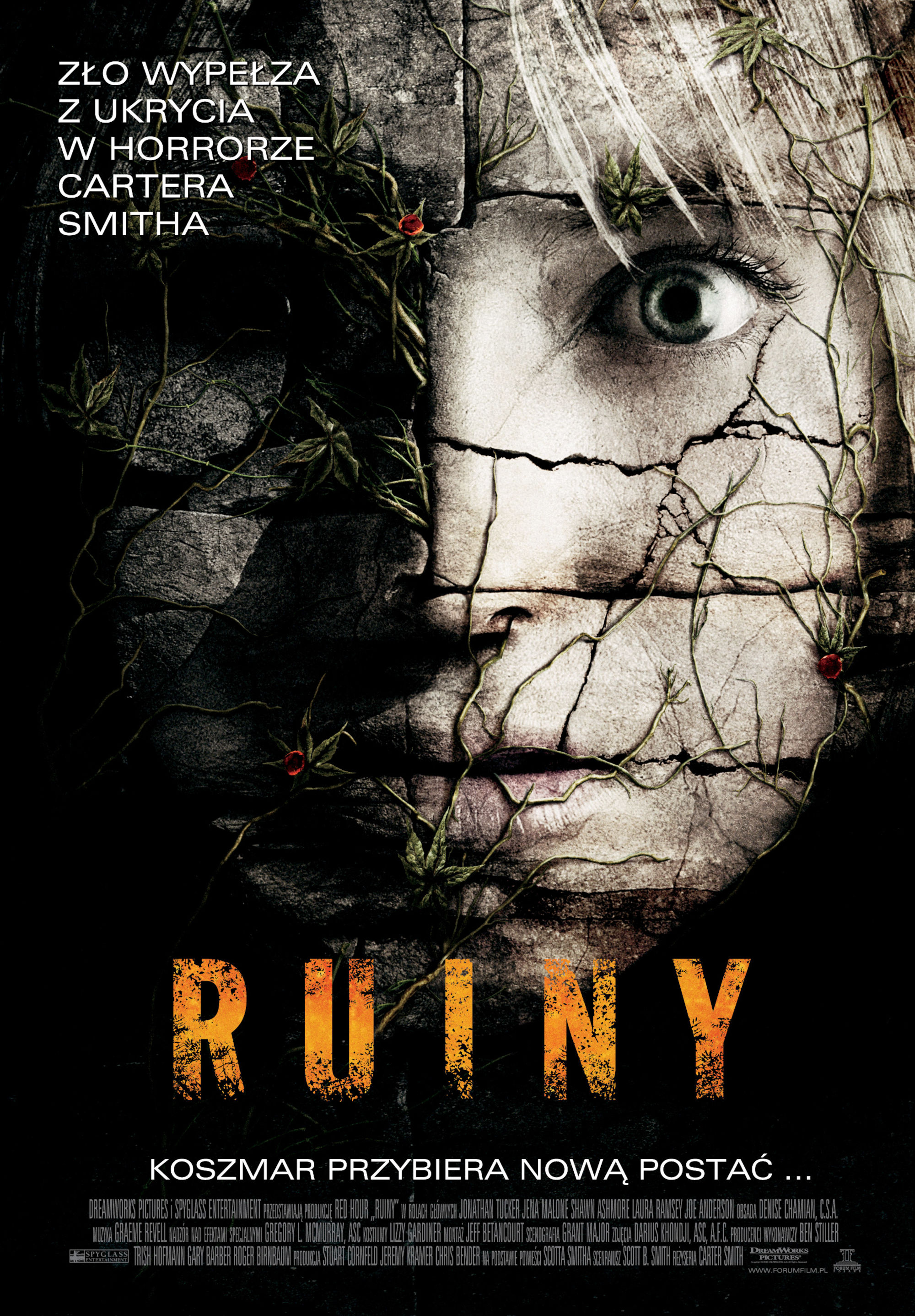 Polski plakat filmu 'Ruiny'
