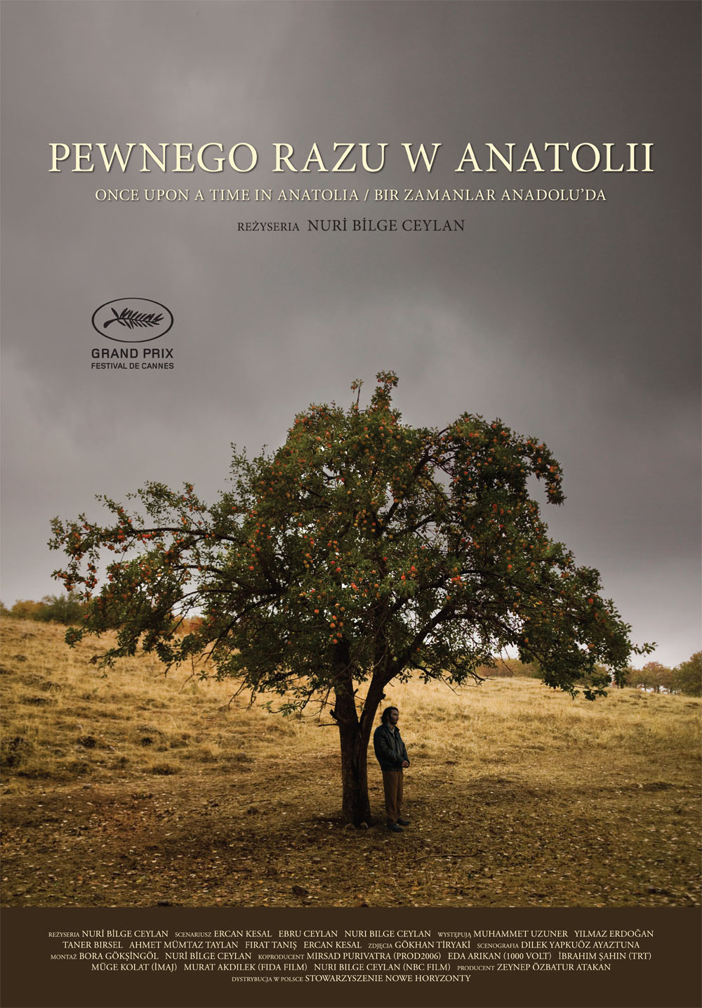 Polski plakat filmu 'Pewnego Razu W Anatolii'