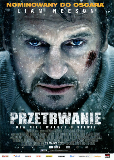 Przód ulotki filmu 'Przetrwanie'