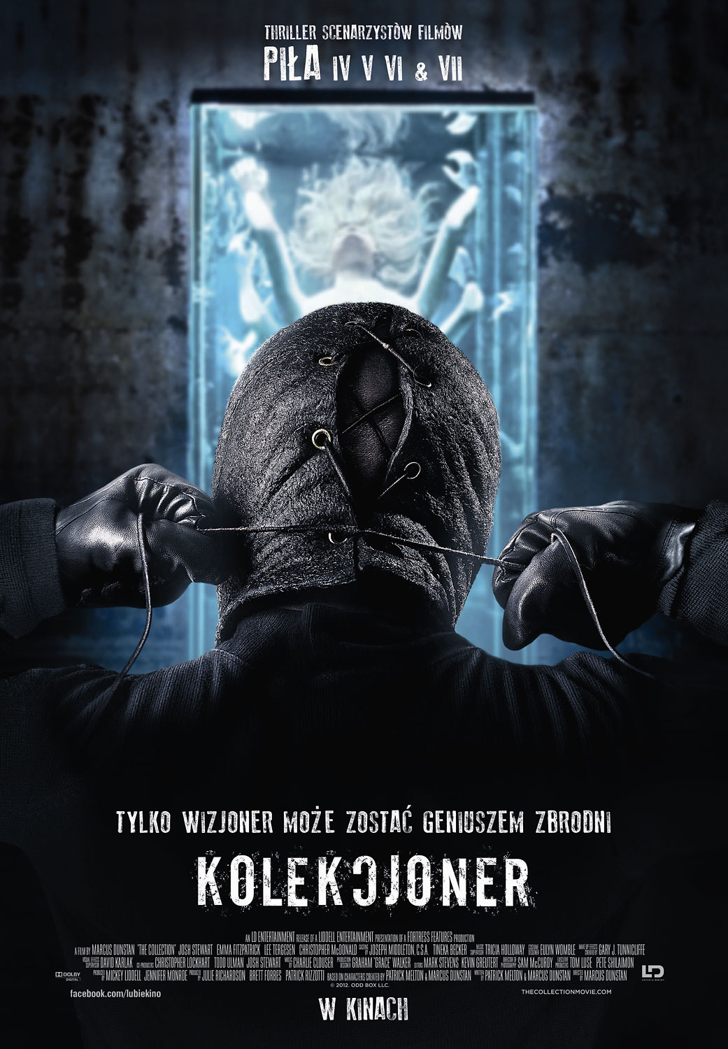 Polski plakat filmu 'Kolekcjoner'