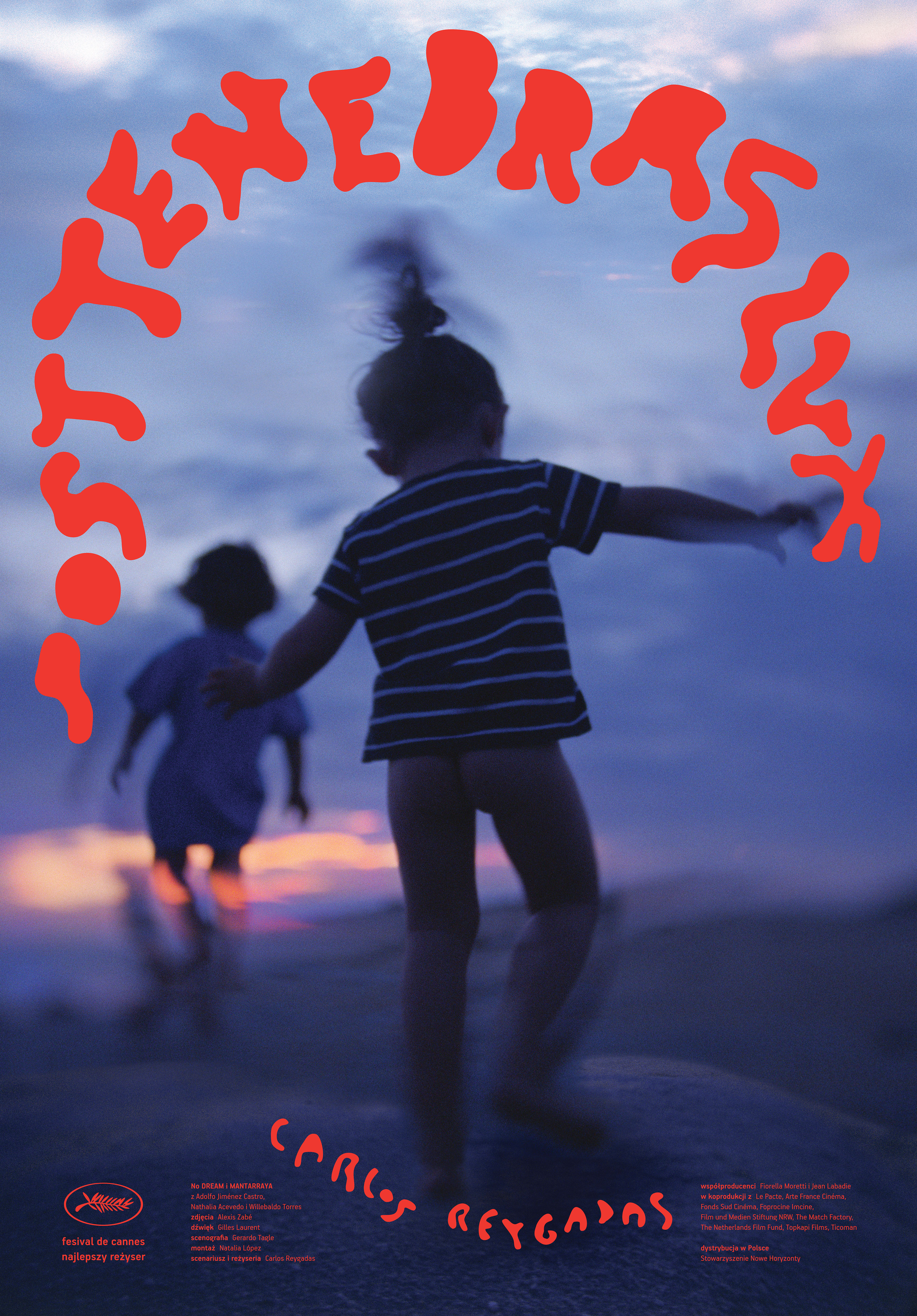 Polski plakat filmu 'Post Tenebras Lux'