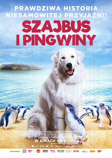 Przód ulotki filmu 'Szajbus i pingwiny'