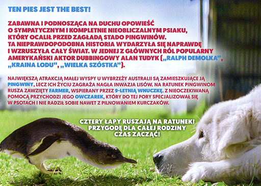 Tył ulotki filmu 'Szajbus i pingwiny'