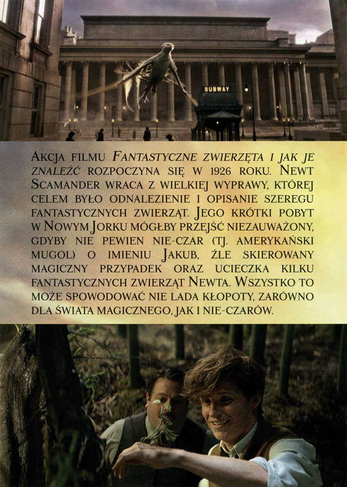 Ulotka filmu 'Fantastyczne Zwierzęta i Jak Je Znaleźć (tył)'