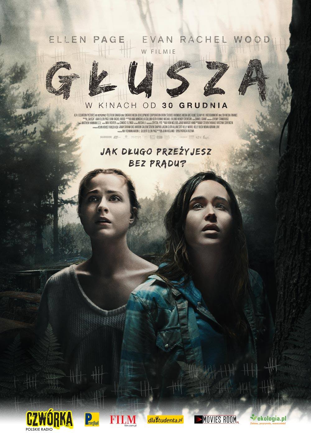 Polski plakat filmu 'Głusza'