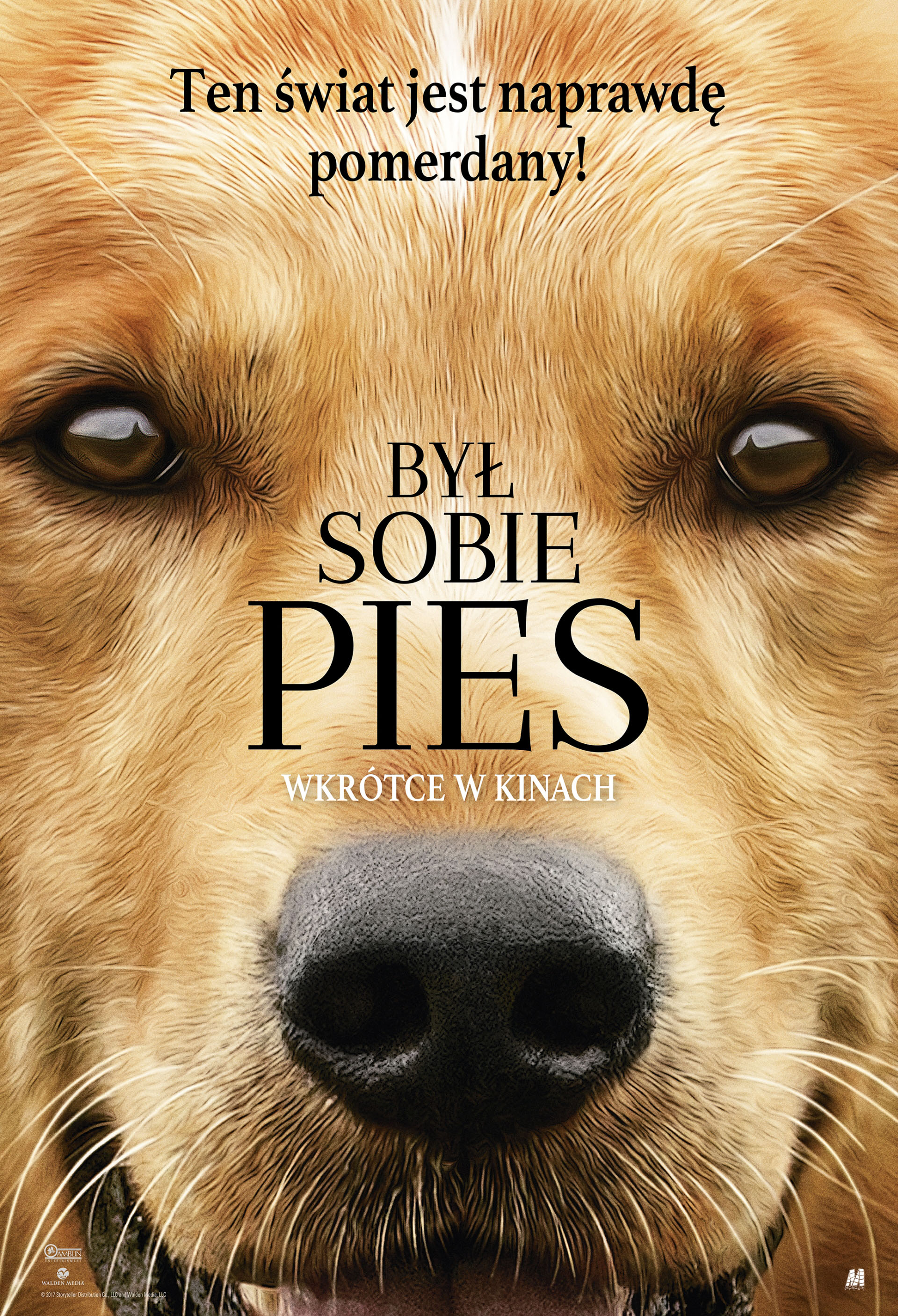 Polski plakat filmu 'Był sobie pies'