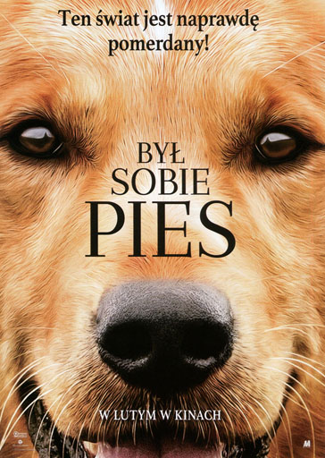 Przód ulotki filmu 'Był sobie pies'