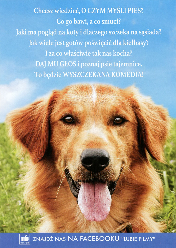 Ulotka filmu 'Był Sobie Pies (tył)'