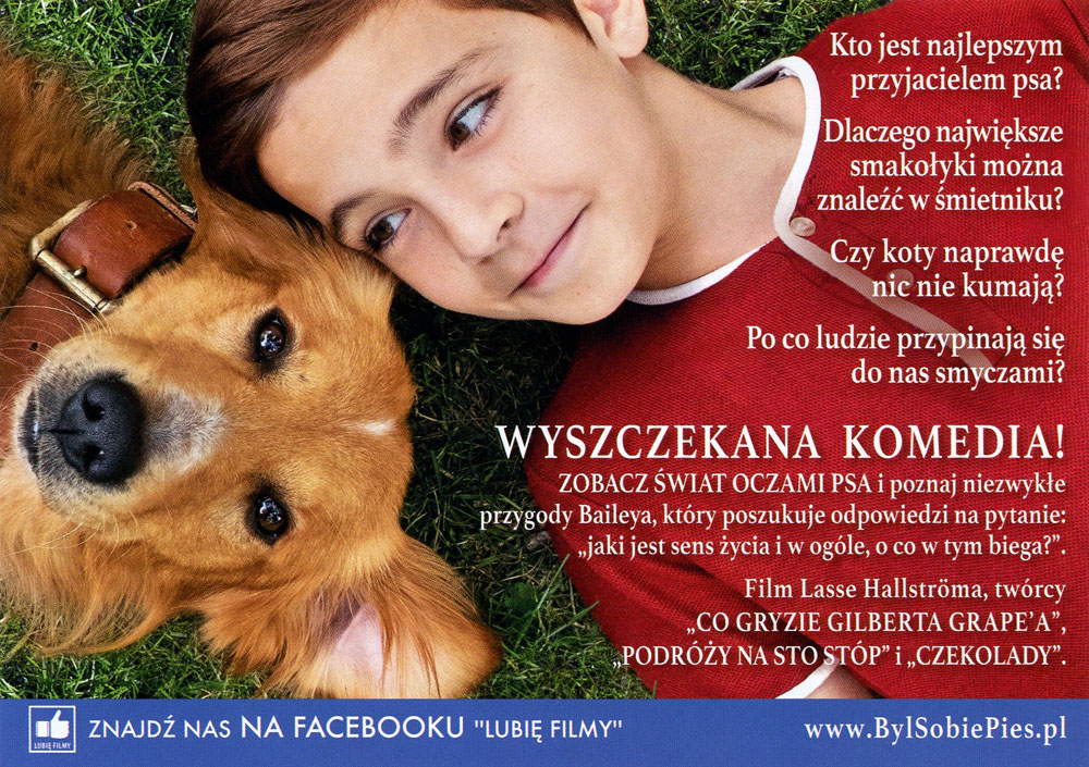 Ulotka filmu 'Był Sobie Pies (tył - wersja B)'