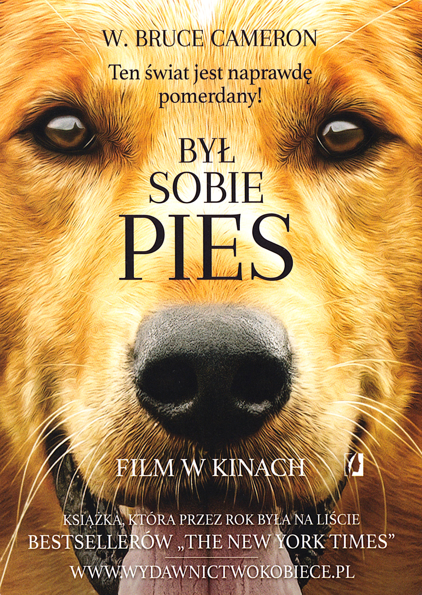Ulotka filmu ''
