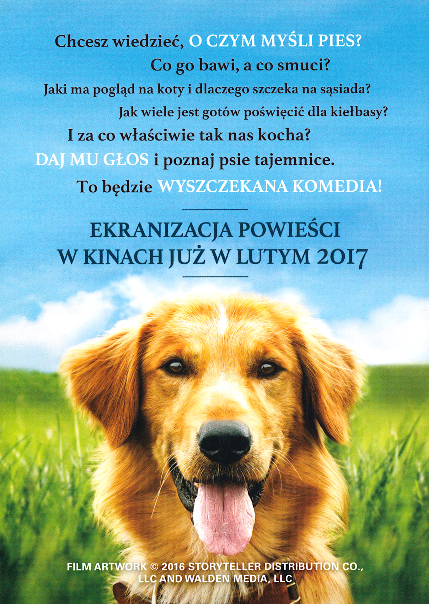Ulotka filmu ''