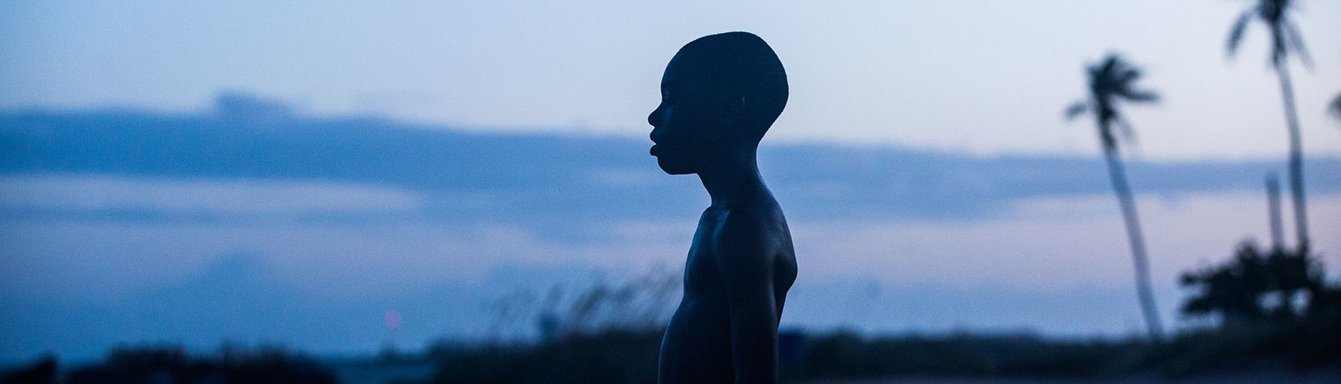 Baner filmu 'Moonlight'