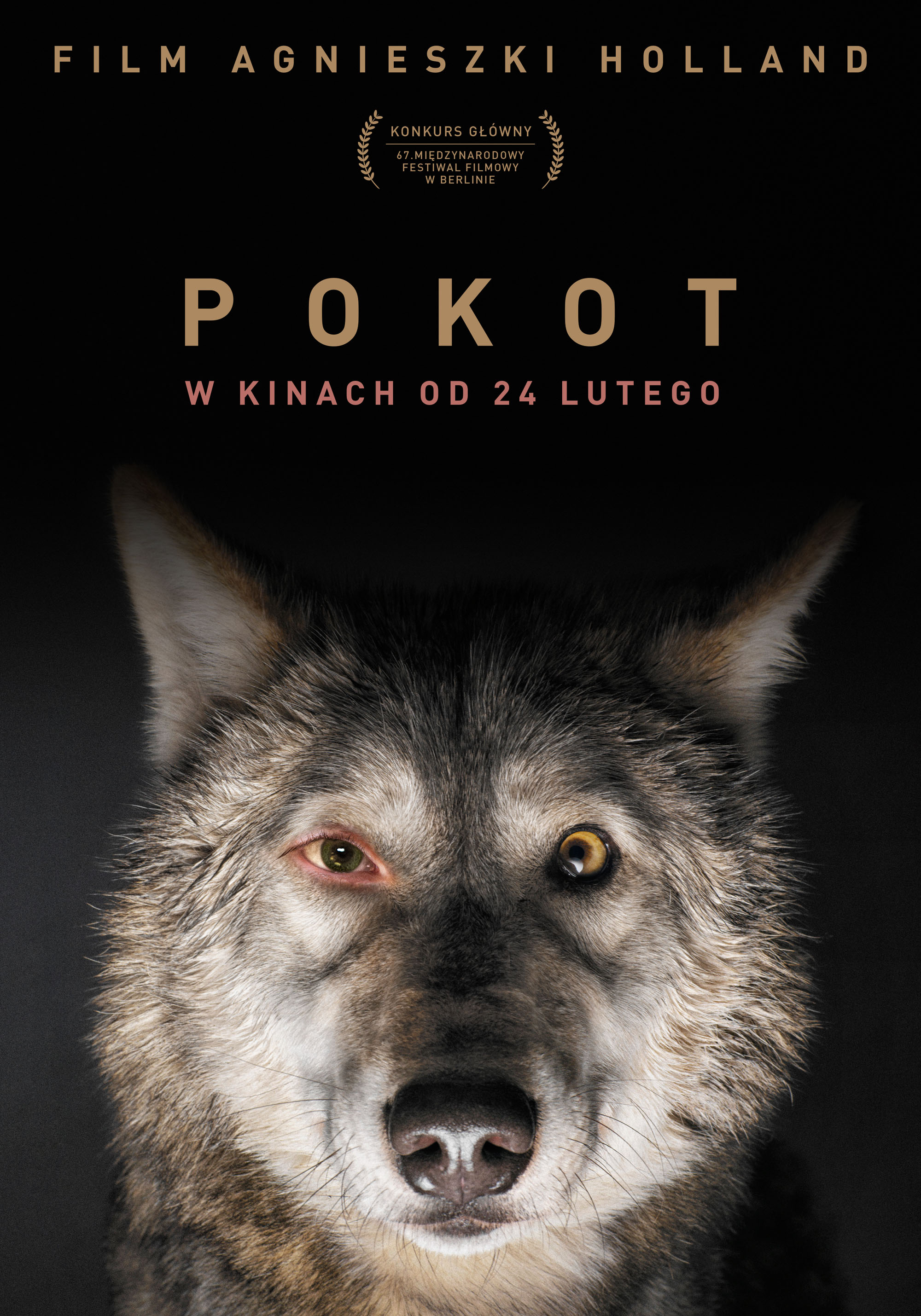 Polski plakat filmu 'Pokot'