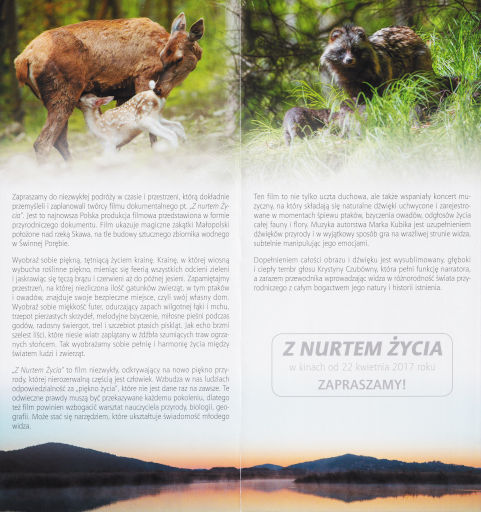 Tył ulotki filmu 'Z nurtem życia'
