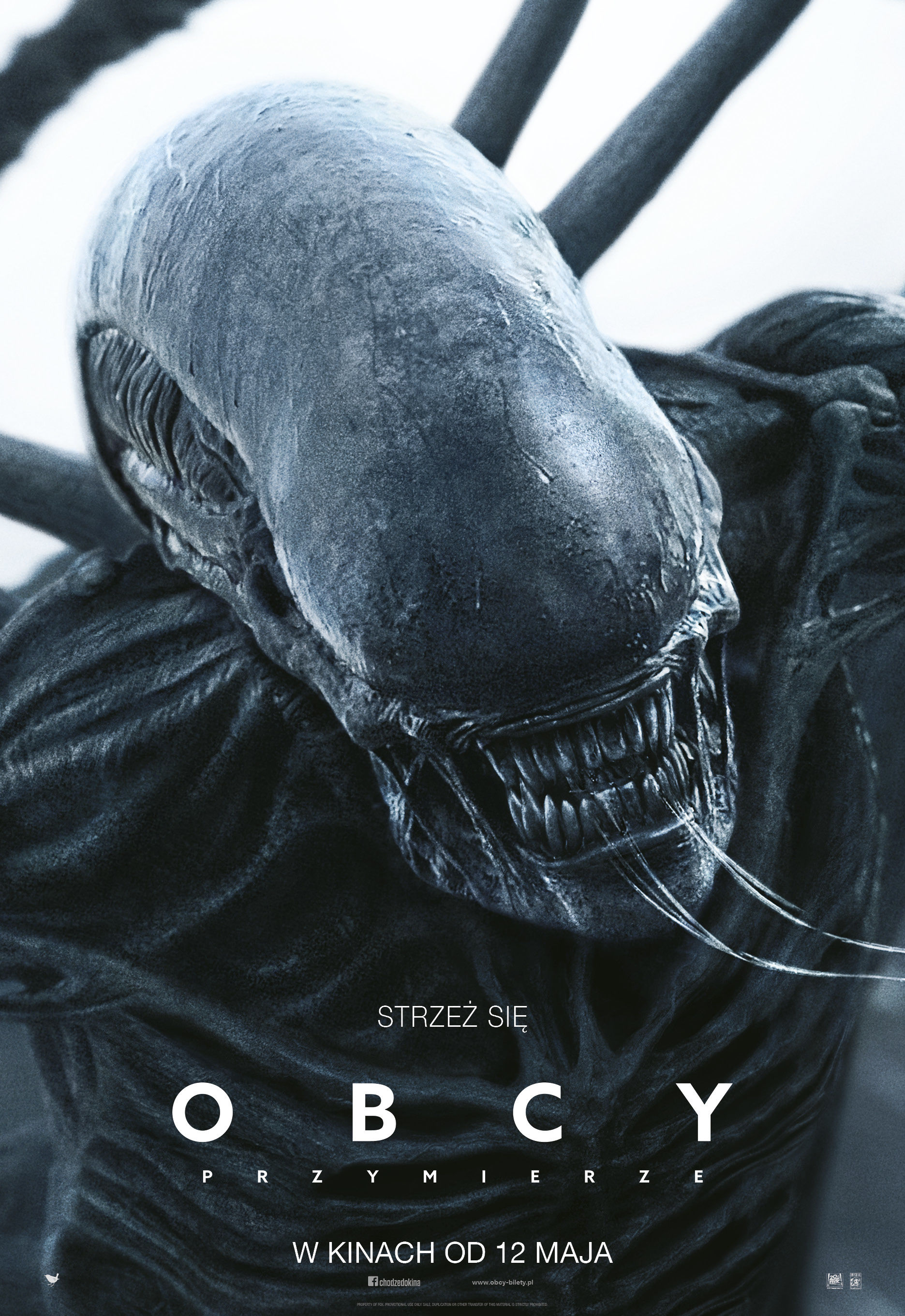 Polski plakat filmu 'Obcy: Przymierze'