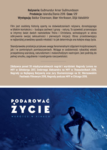 Tył ulotki filmu 'Serce z kamienia'