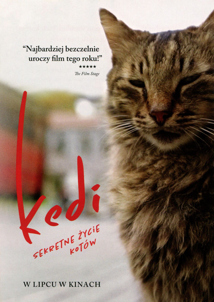 Ulotka filmu 'Kedi - Sekretne Życie Kotów (przód)'