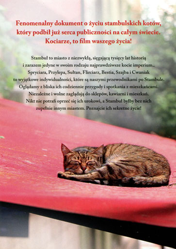Tył ulotki filmu 'Kedi - sekretne życie kotów'