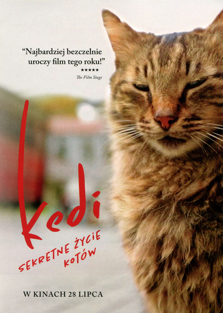 Ulotka filmu 'Kedi - Sekretne Życie Kotów (przód - wersja B)'