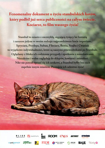 Tył ulotki filmu 'Kedi - sekretne życie kotów'