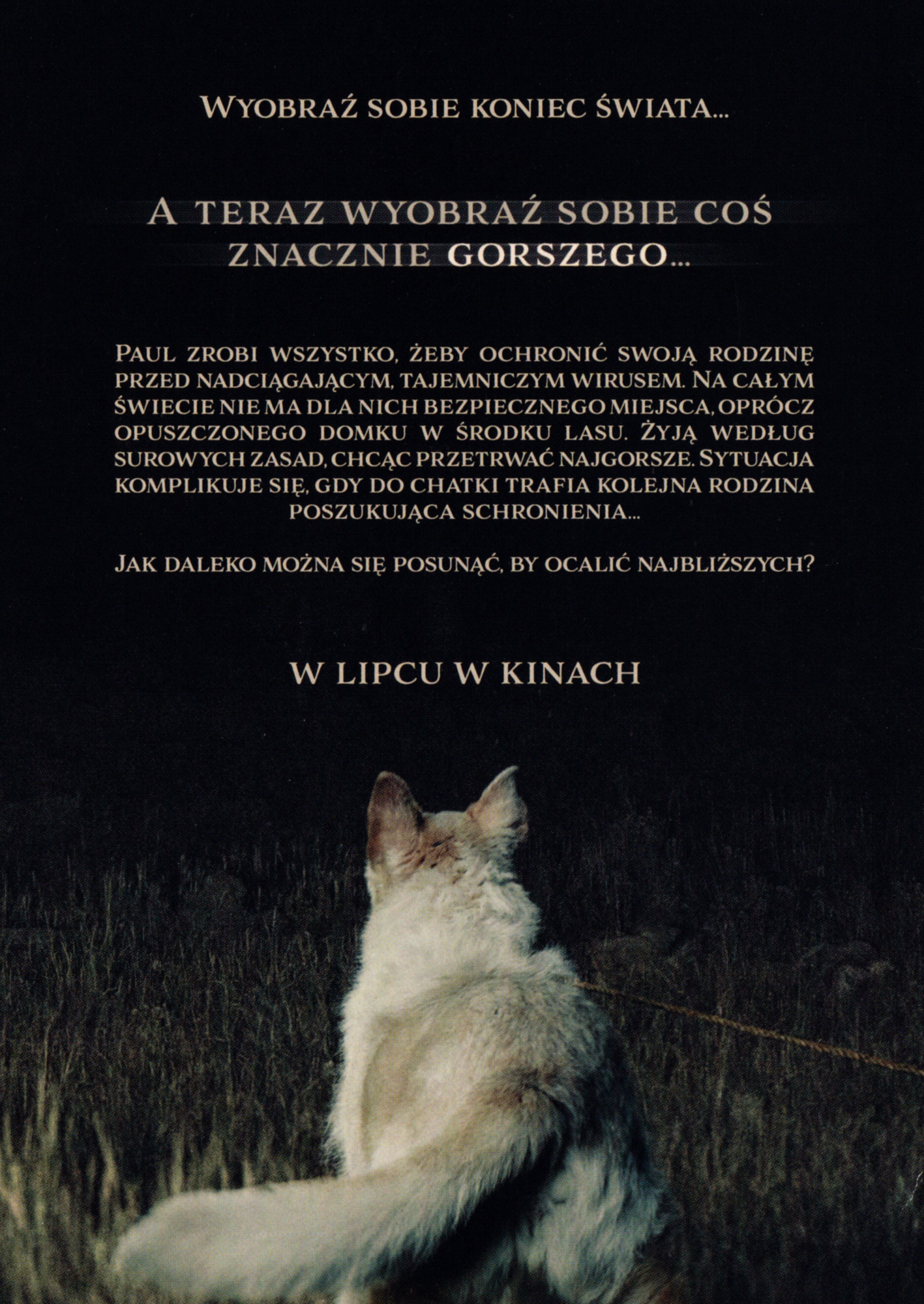 Ulotka filmu 'To Przychodzi Po Zmroku (tył)'