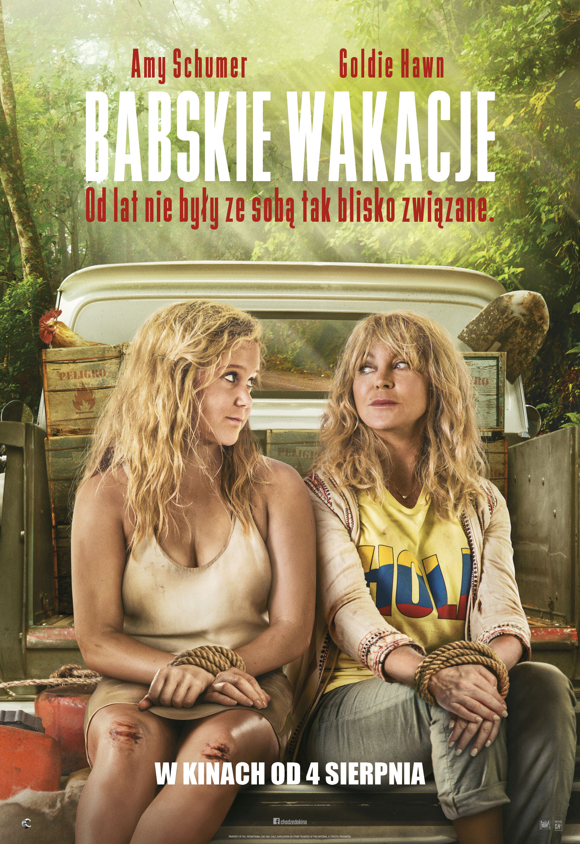 Polski plakat filmu 'Babskie wakacje'