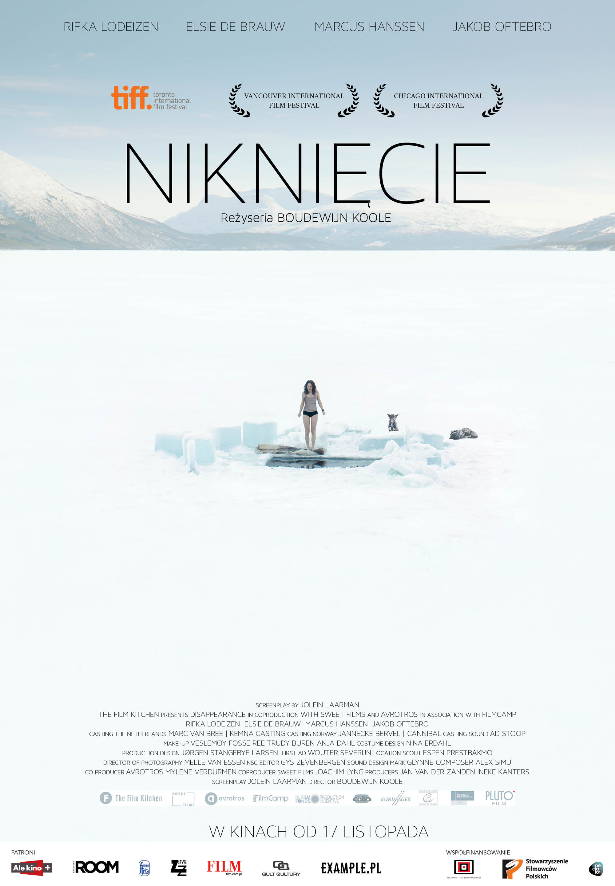 Polski plakat filmu 'Niknięcie'