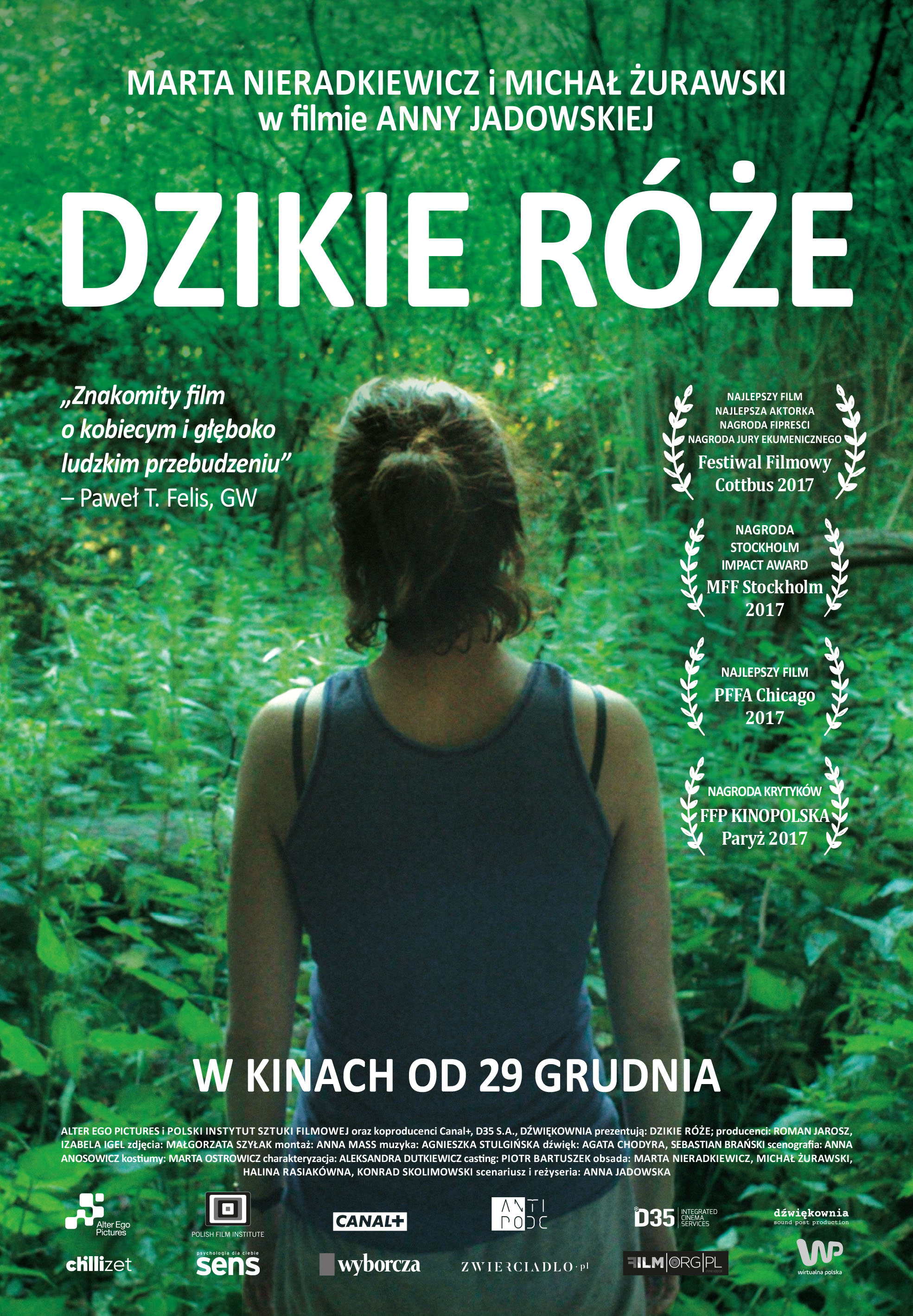 Polski plakat filmu 'Dzikie róże'