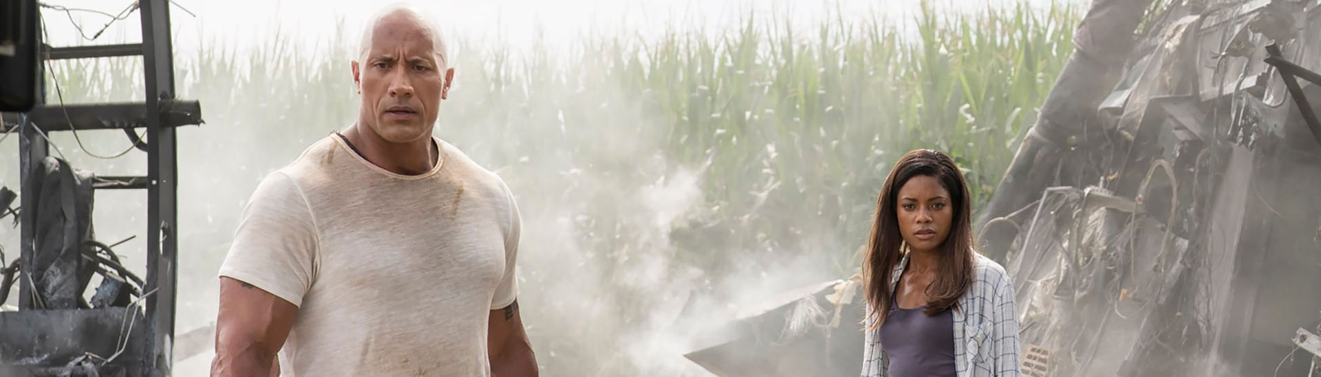 Baner filmu 'Rampage: Dzika furia' Baner filmu 'Rampage: Dzika furia'