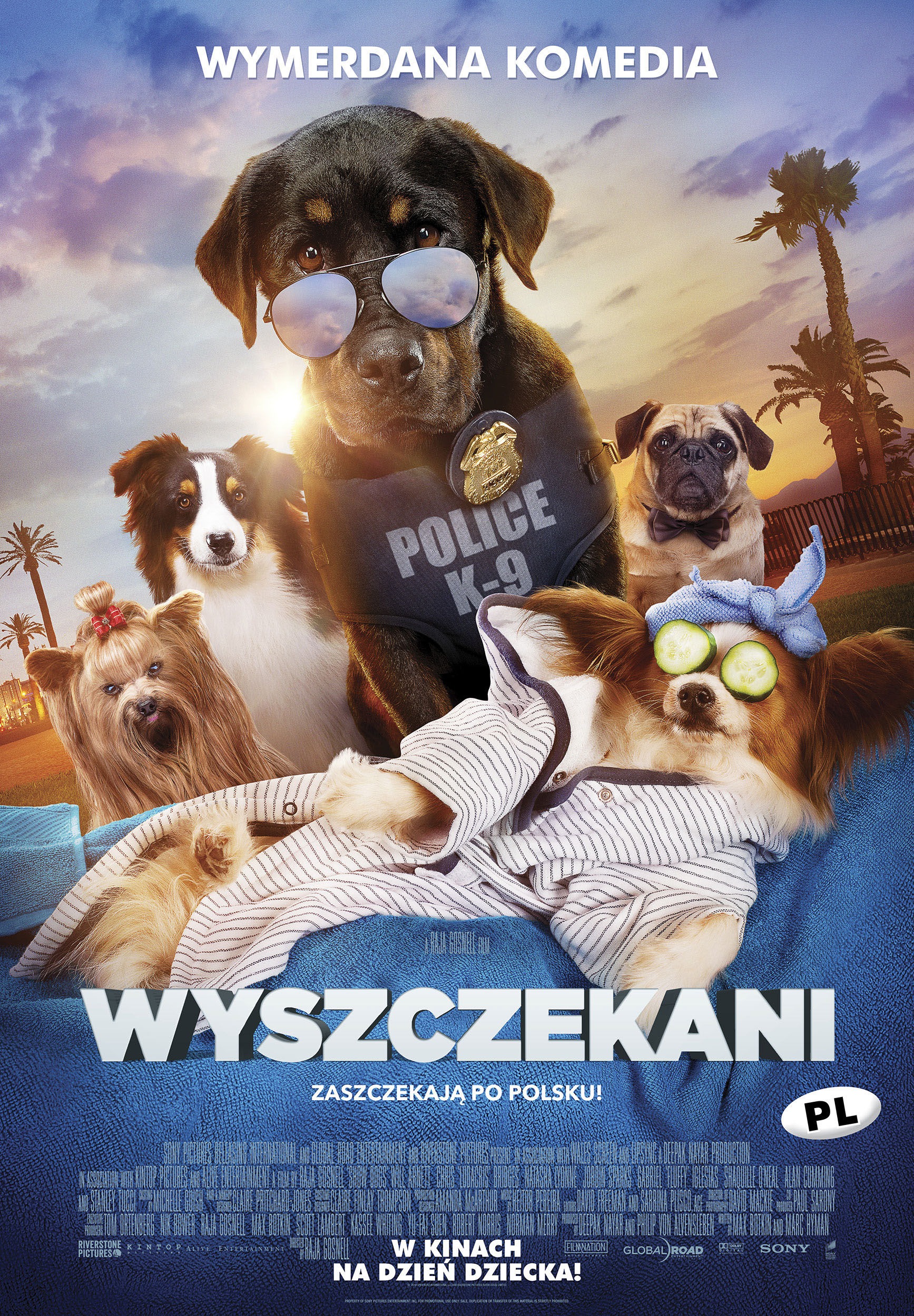 Polski plakat filmu 'Wyszczekani'