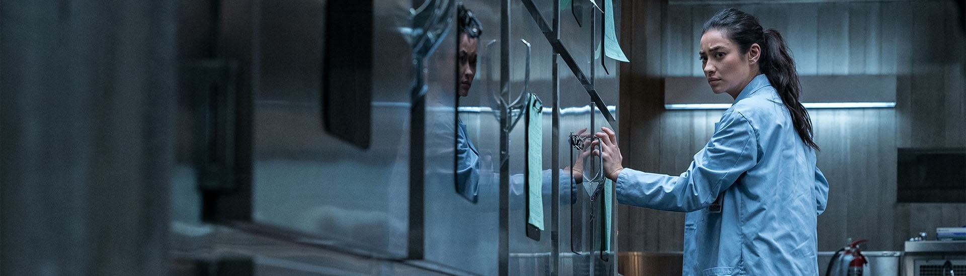 Baner filmu 'Diabeł: Inkarnacja' Baner filmu 'Diabeł: Inkarnacja'