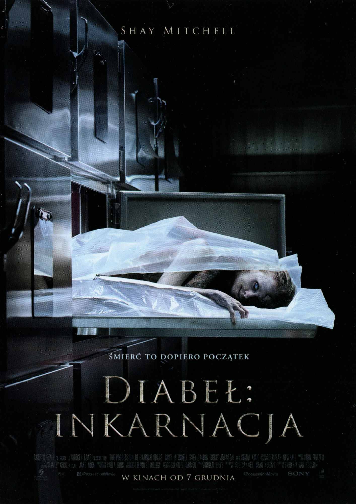 Ulotka filmu ''
