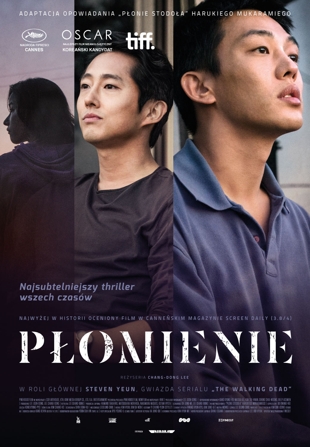 Polski plakat filmu 'Płomienie'