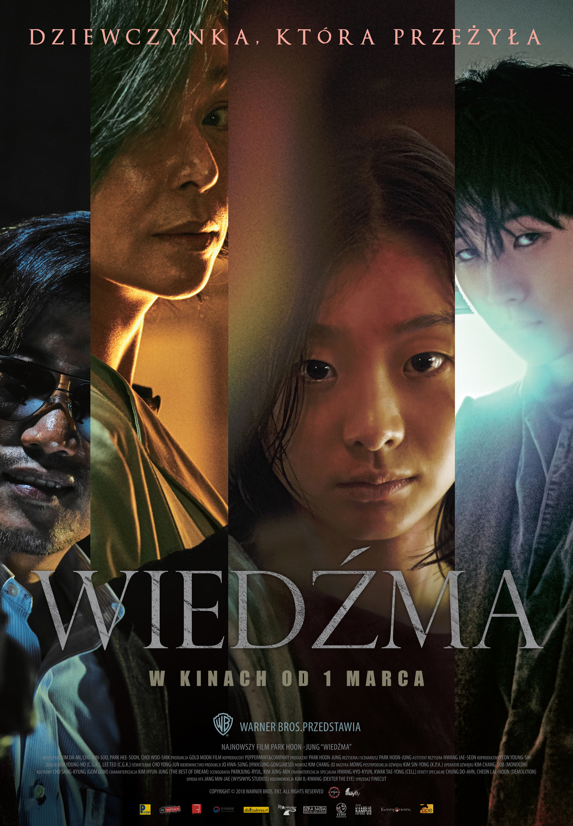 Polski plakat filmu 'Wiedźma'