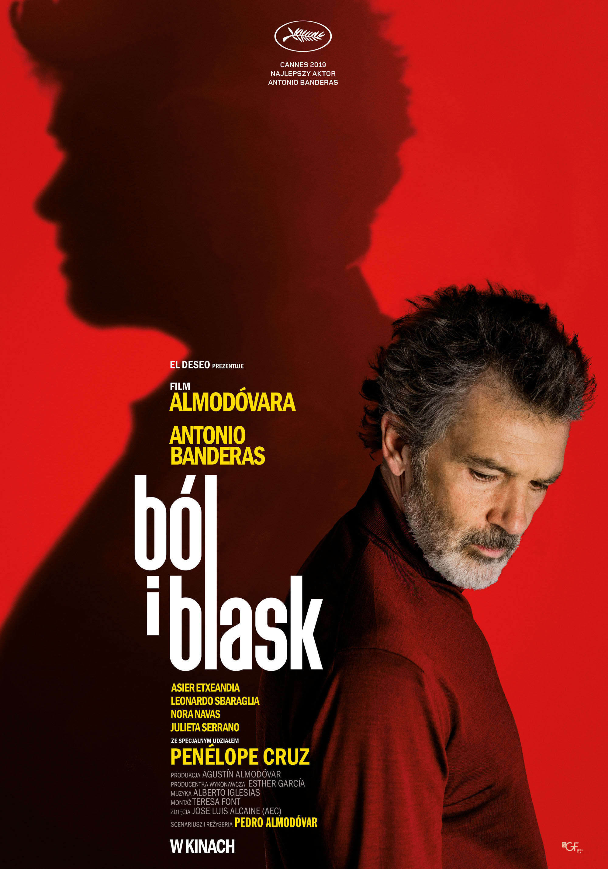 Polski plakat filmu 'Ból i blask'