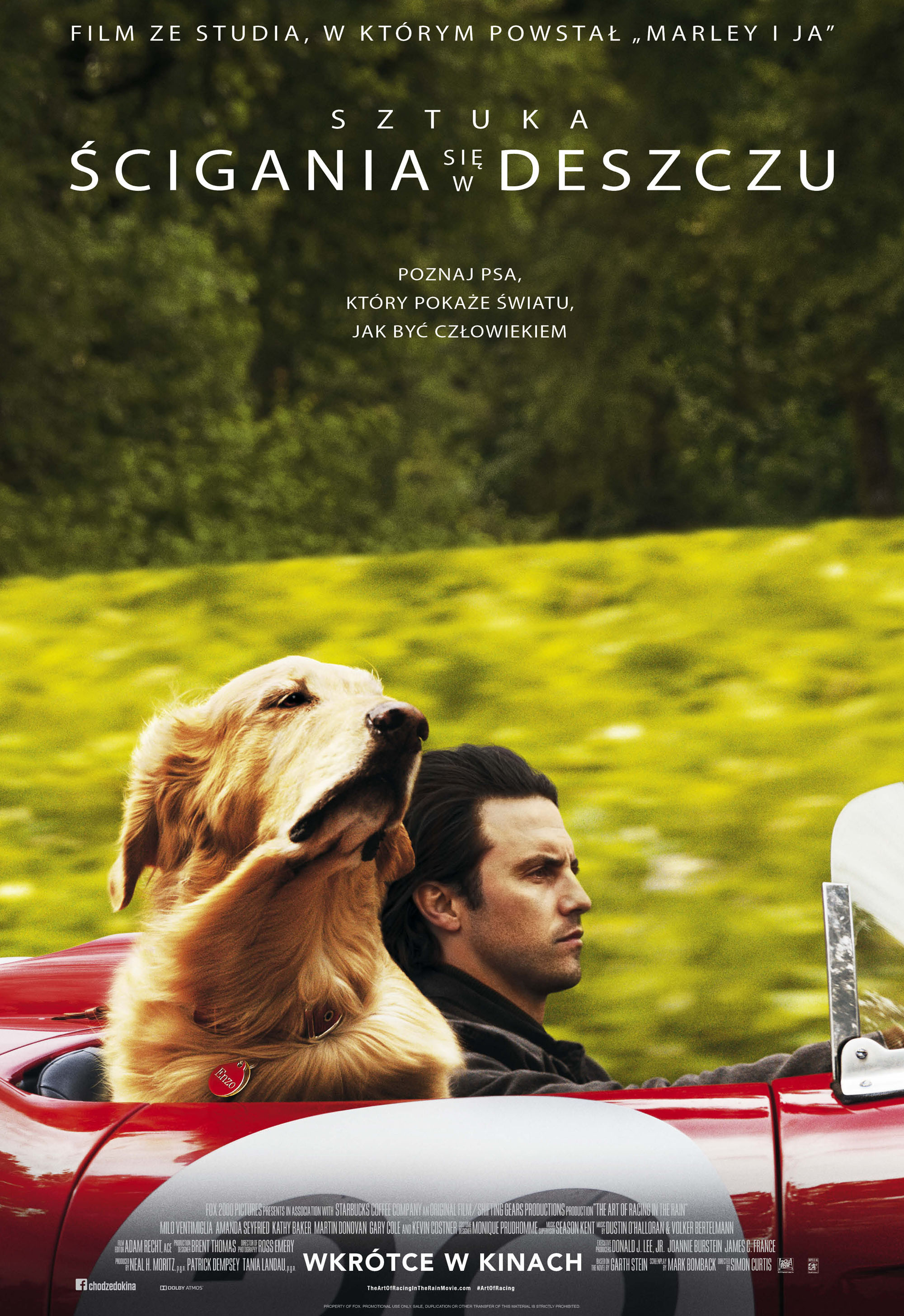 Polski plakat filmu 'Sztuka ścigania się w deszczu'