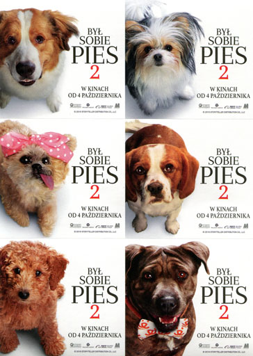 Przód ulotki filmu 'Był sobie pies 2'