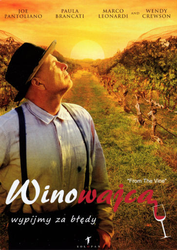 Przód ulotki filmu 'Winowajca'