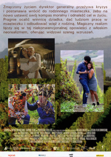 Tył ulotki filmu 'Winowajca'