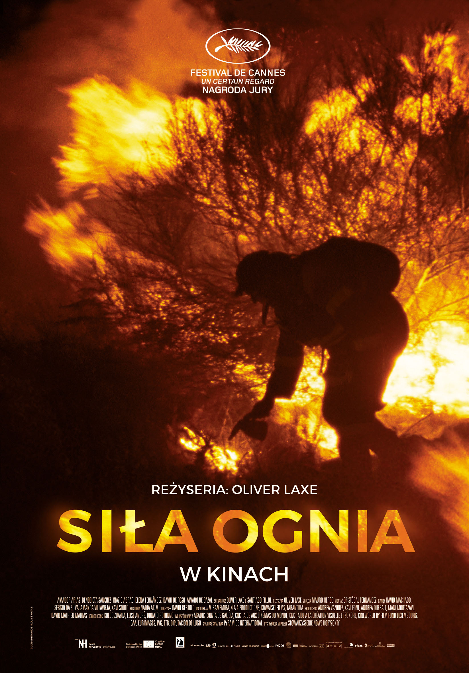 Polski plakat filmu 'Siła ognia'
