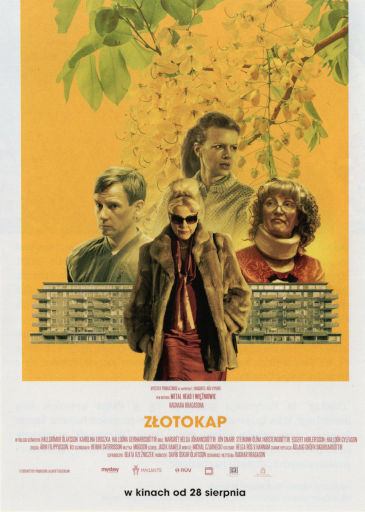 Przód ulotki filmu 'Złotokap'