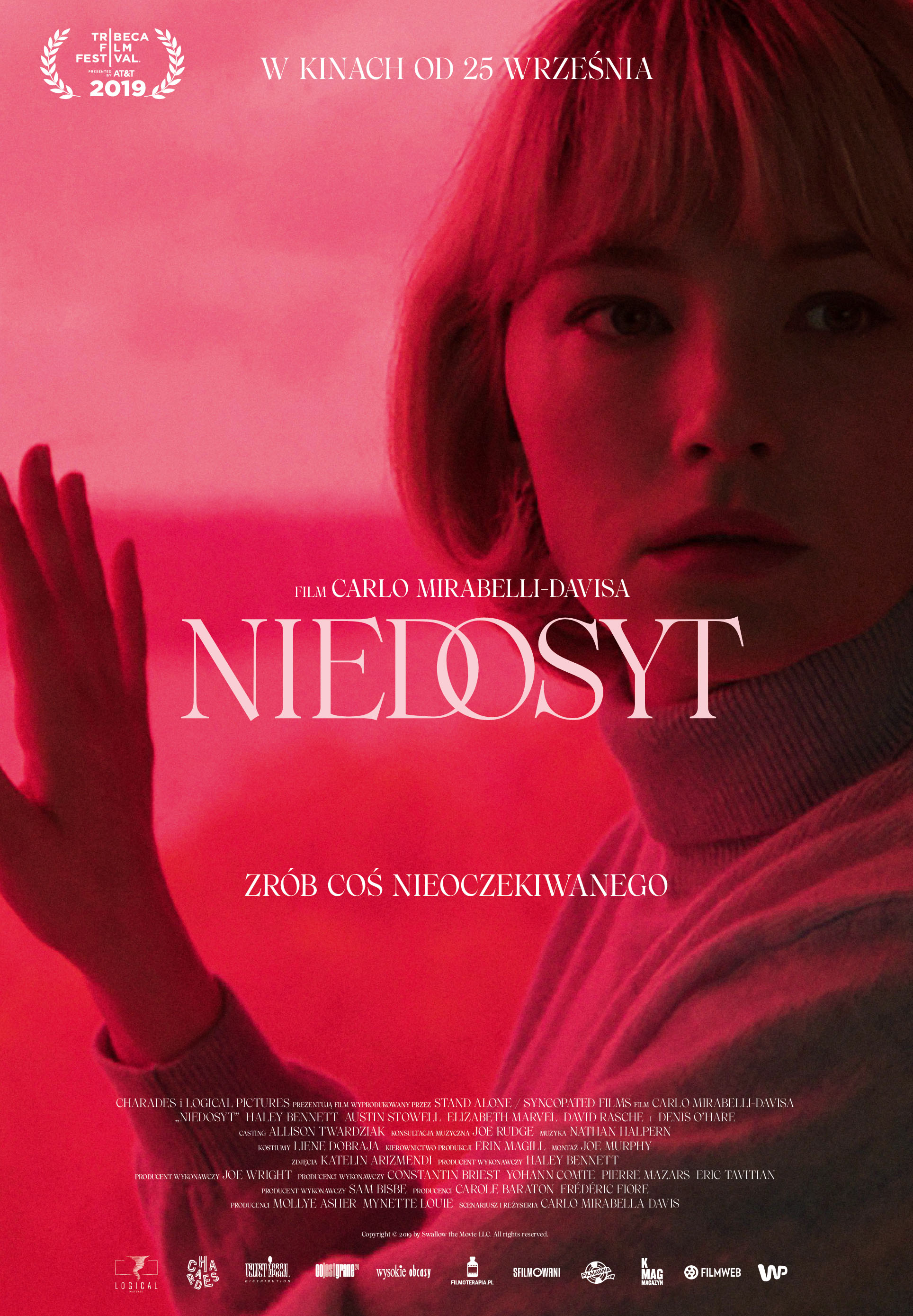 Polski plakat filmu 'Niedosyt'