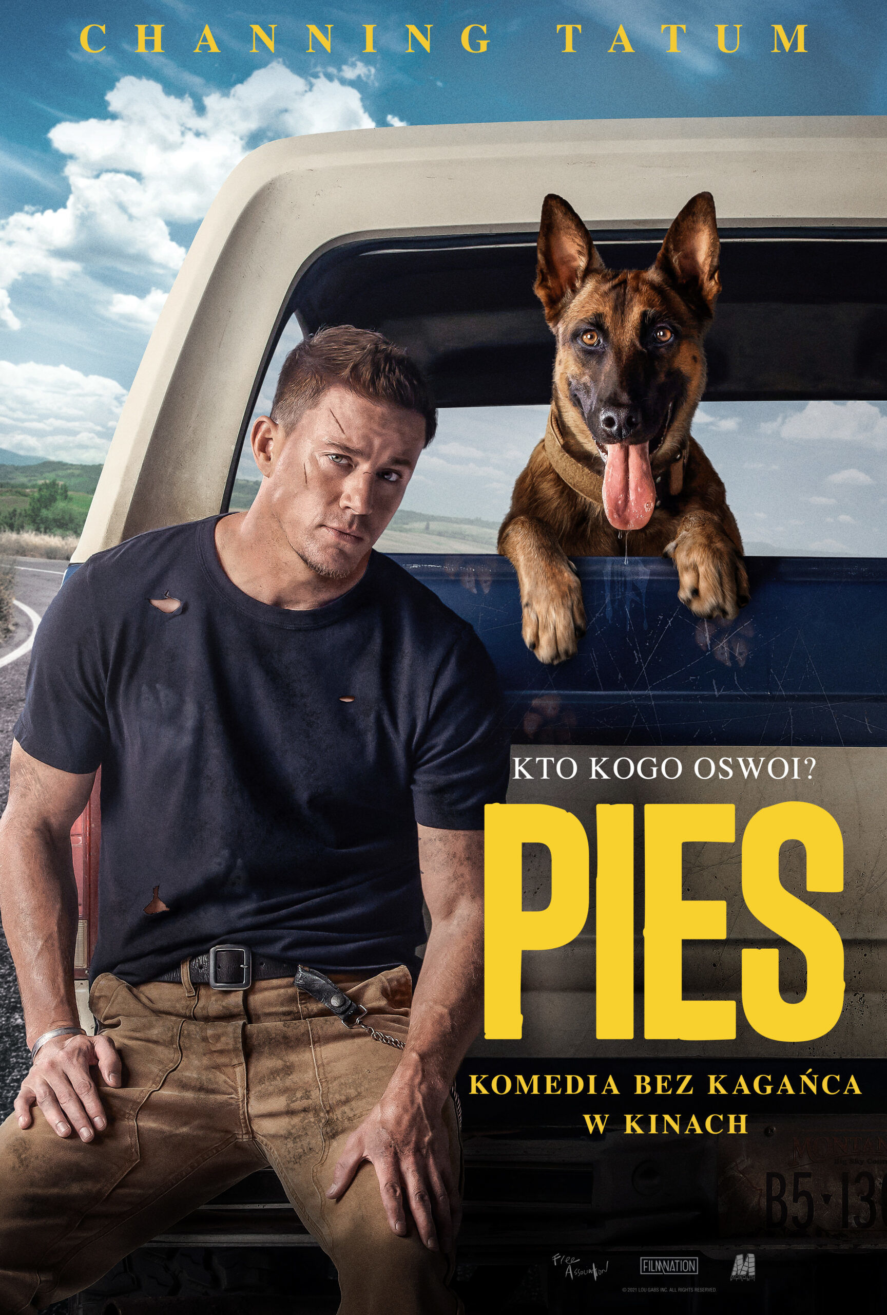 Polski plakat filmu 'Pies'