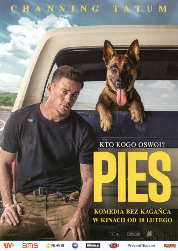 Przód ulotki filmu 'Pies'